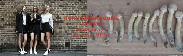 не бодяженный Беслан