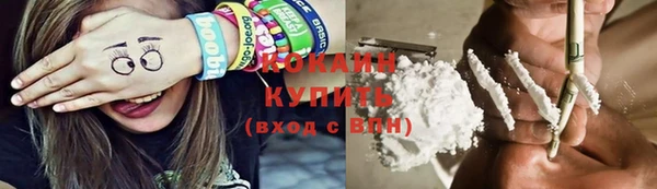 спайс Няндома