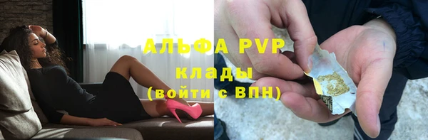 спайс Няндома
