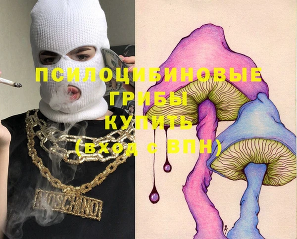 спайс Няндома