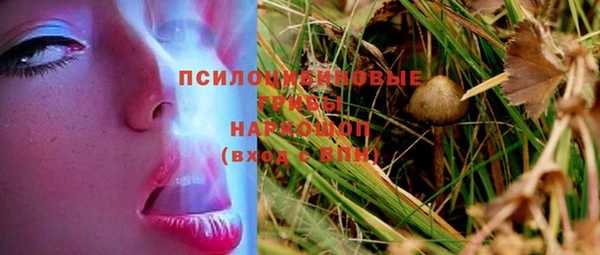 соль курить ск Новодвинск
