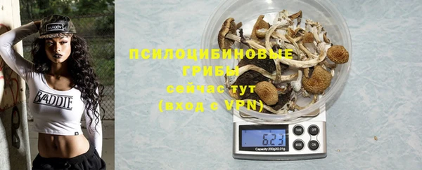 спайс Няндома