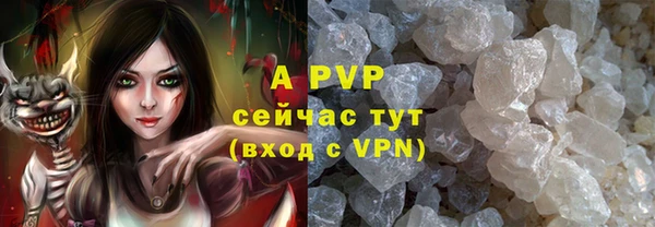 ALPHA-PVP Новозыбков